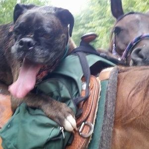 Meet your Posher, Corrine